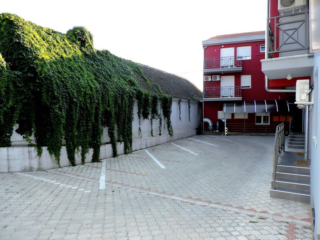 B&B Zmajevo Gnezdo 021 Sremska Kamenica Eksteriør billede